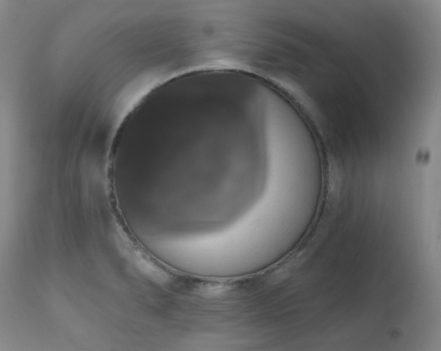 X0000111021278200906191643