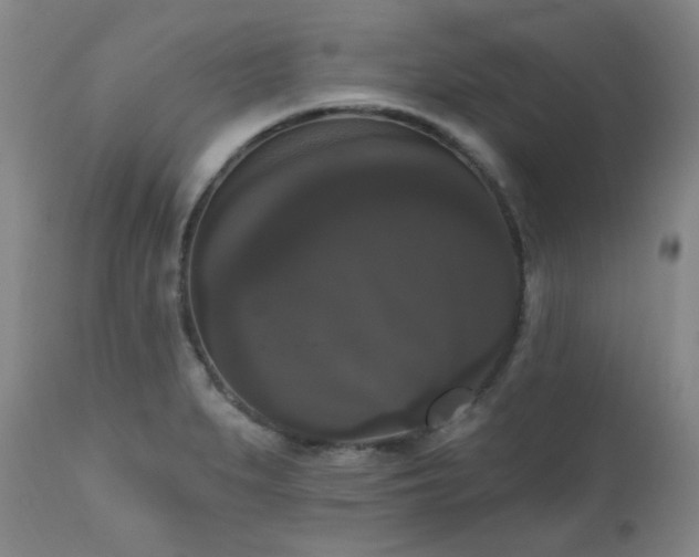 X0000111021279200906191643