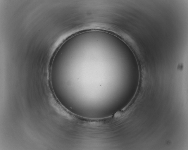 X0000111021280200906191643