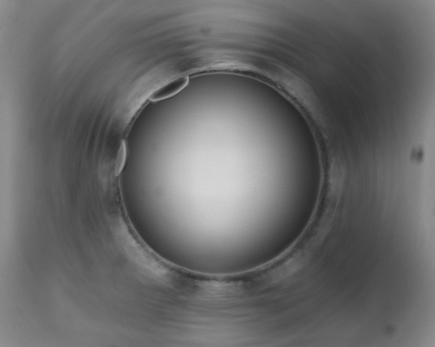 X0000111021281200906191643
