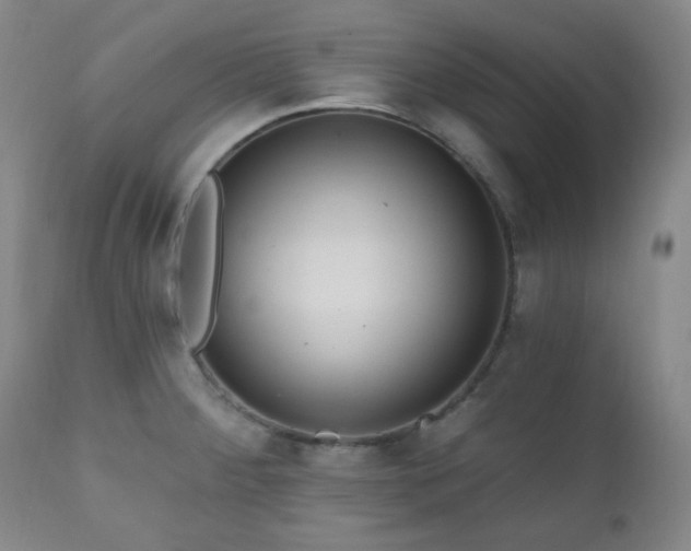 X0000111021284200906191643