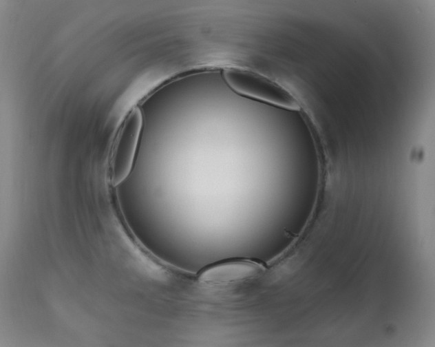 X0000111021285200906191643