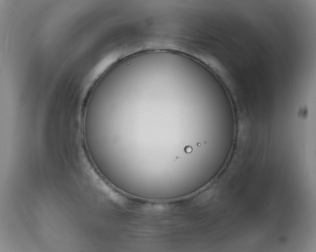 X0000111021286200906191643