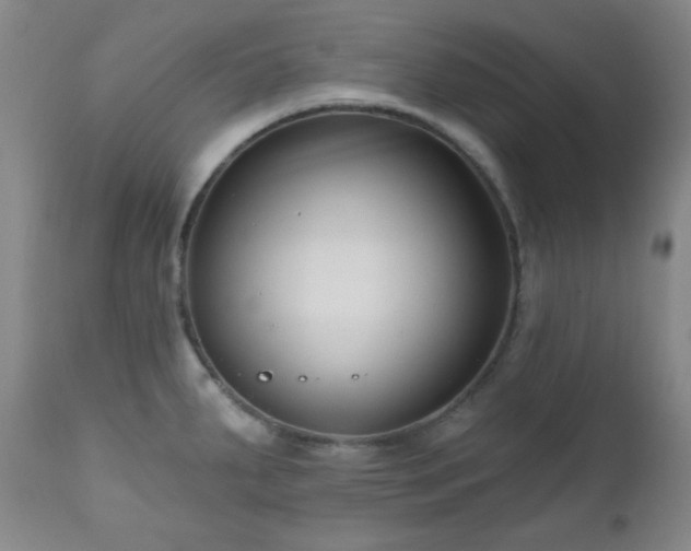 X0000111021287200906191643