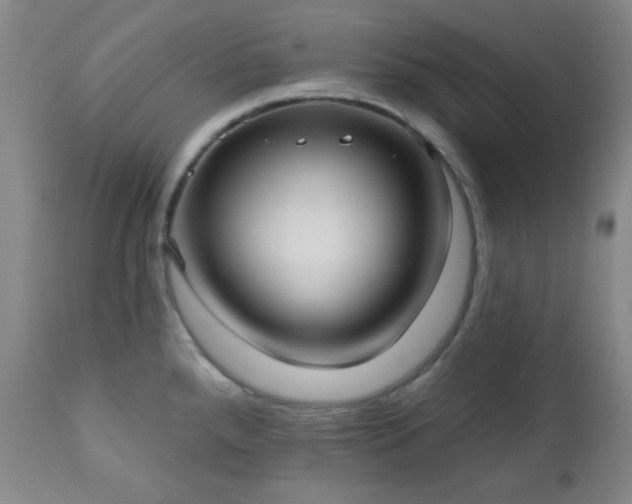 X0000111021288200906191643