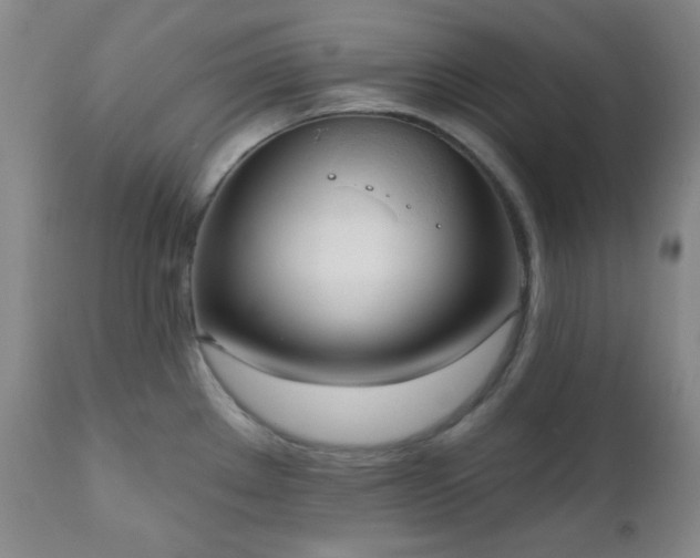 X0000111021289200906191643
