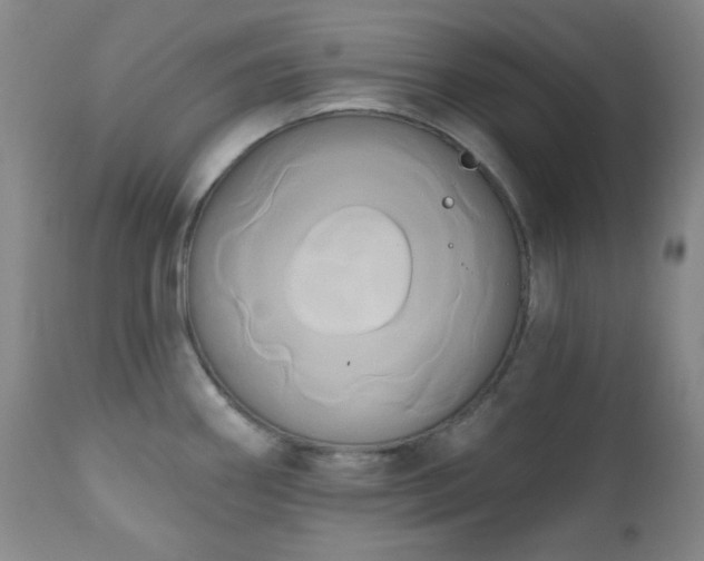 X0000111021290200906191643