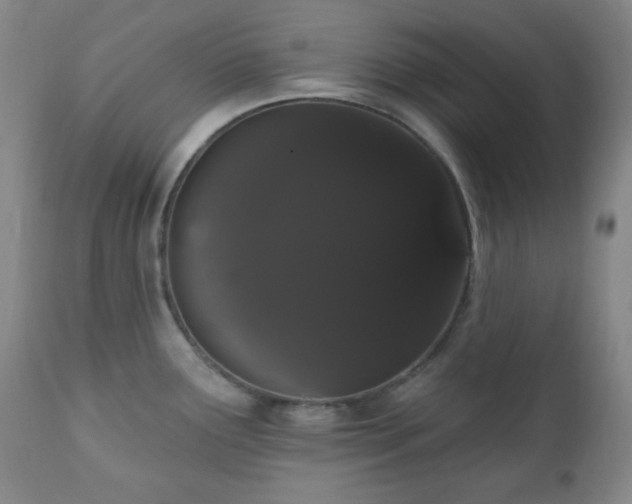 X0000111021291200906191643