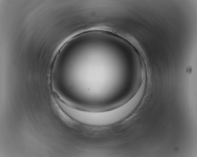 X0000111021292200906191643