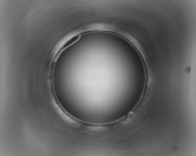X0000111021293200906191643