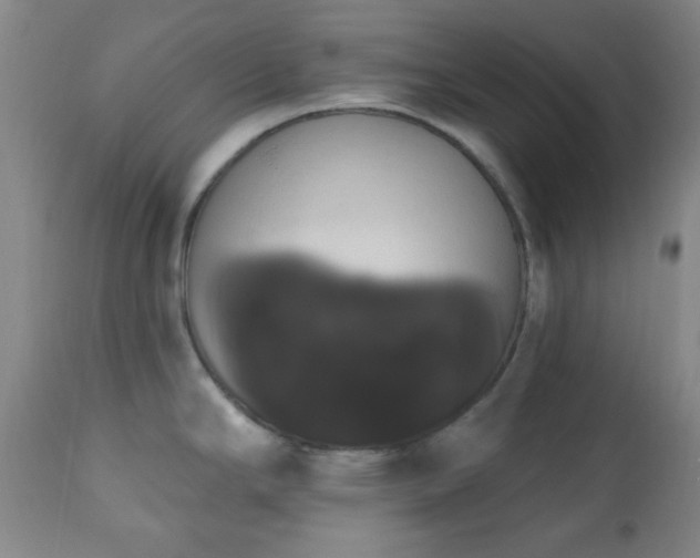 X0000111021294200906191643