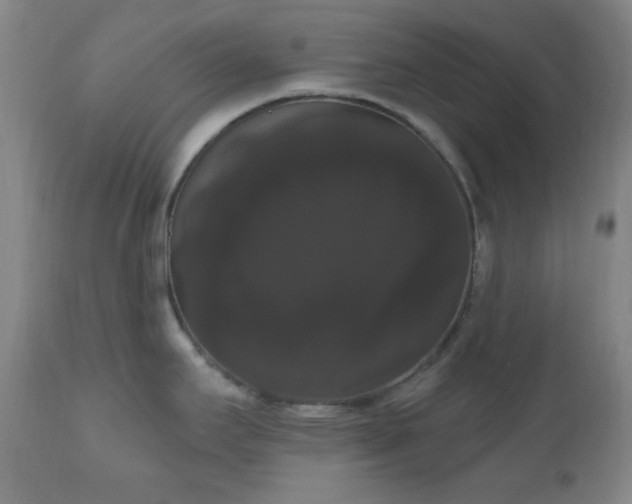 X0000111021295200906191643