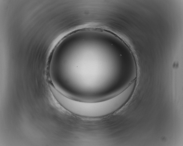 X0000111021296200906191643