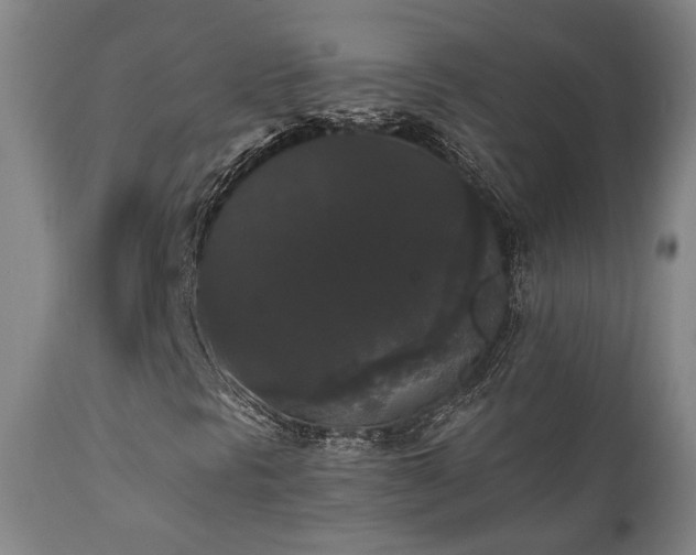 X0000111021297200906191643