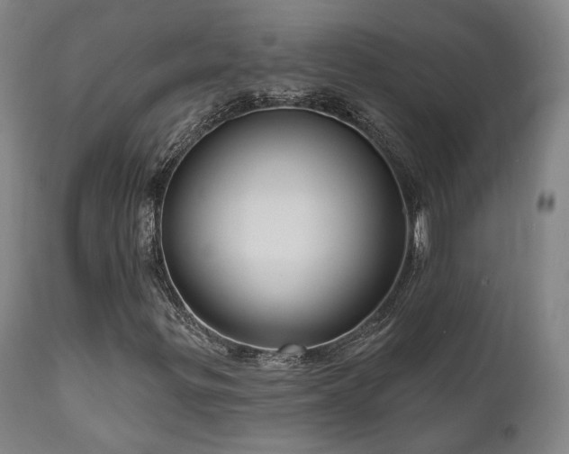 X0000111021299200906191643