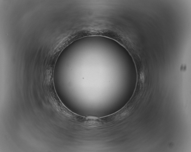 X0000111021300200906191643