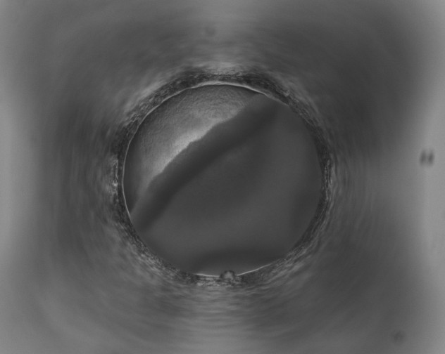 X0000111021301200906191643