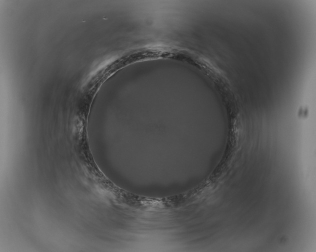 X0000111021302200906191643