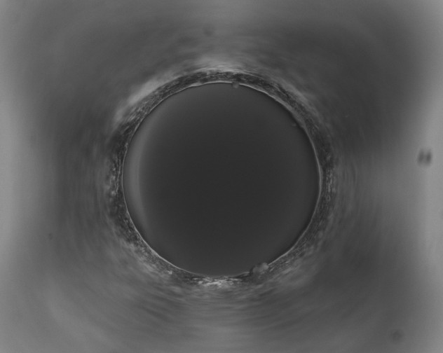 X0000111021303200906191643
