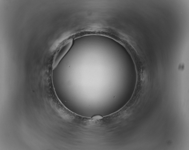 X0000111021304200906191643