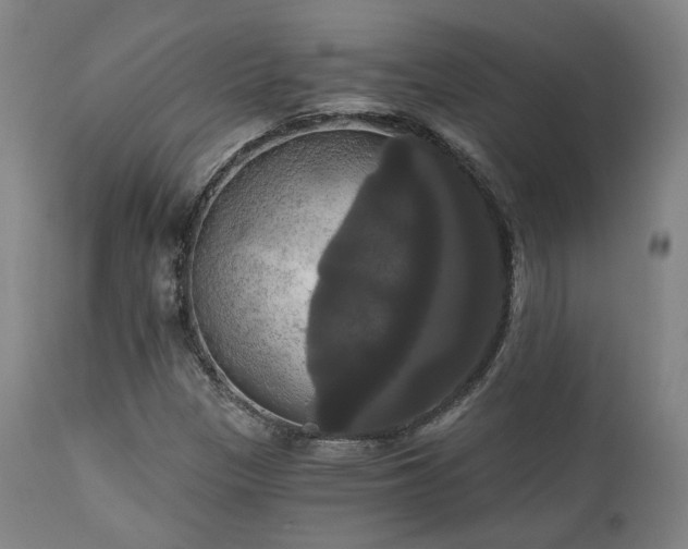 X0000111021305200906191643