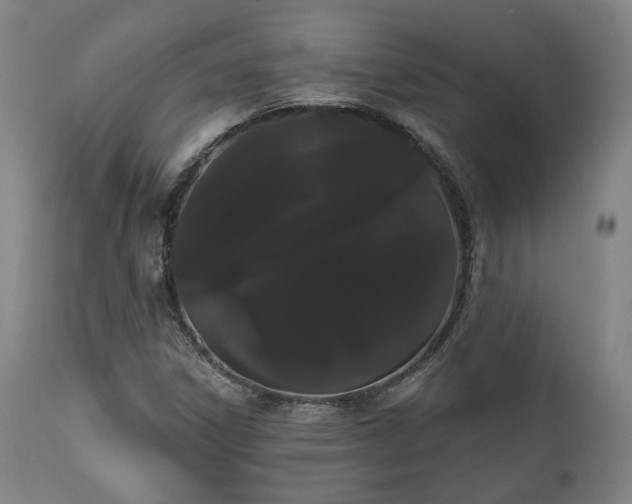X0000111021306200906191643