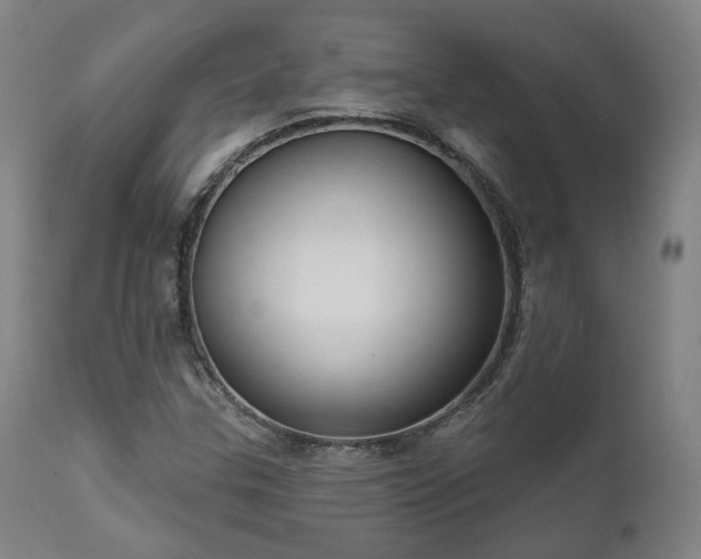 X0000111021307200906191643