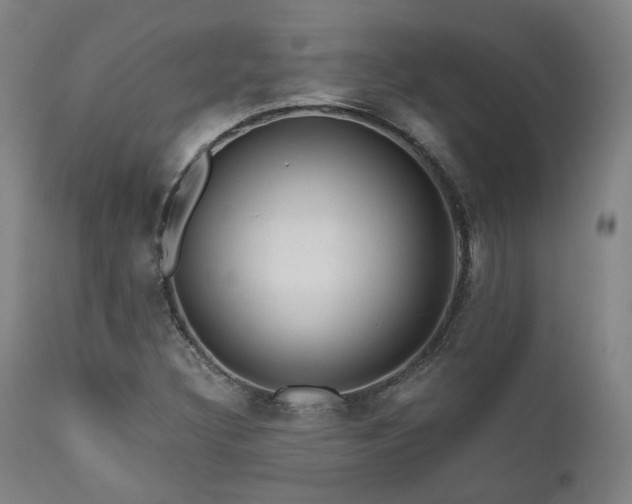 X0000111021308200906191643