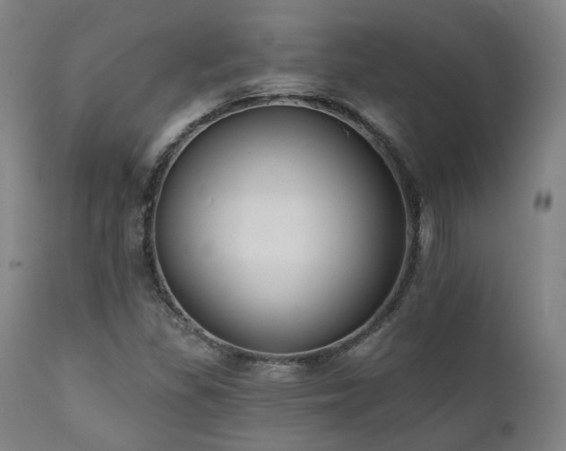 X0000111021309200906191643