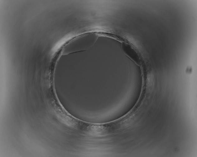 X0000111021310200906191643