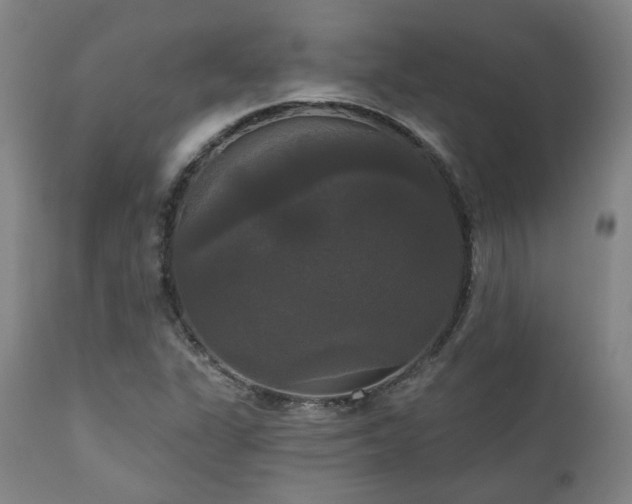 X0000111021311200906191643
