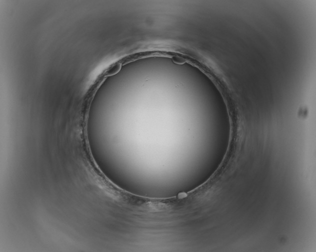 X0000111021312200906191643