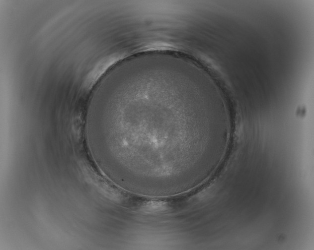 X0000111021313200906191643