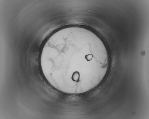 X0000111021314200906191643