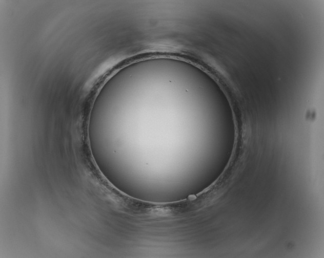 X0000111021315200906191643