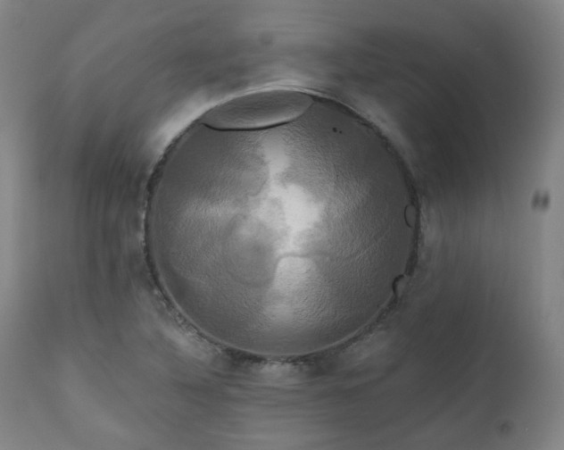 X0000111021316200906191643