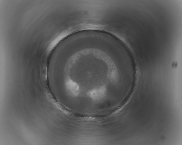 X0000111021317200906191643