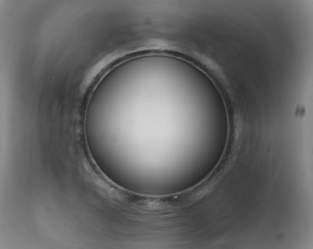 X0000111021318200906191643