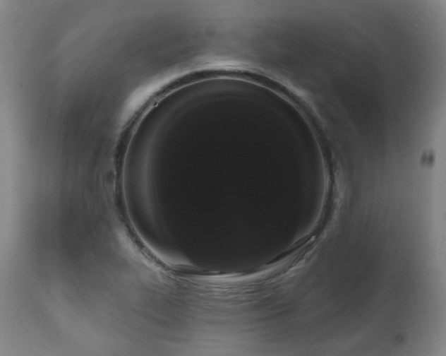 X0000111021319200906191643