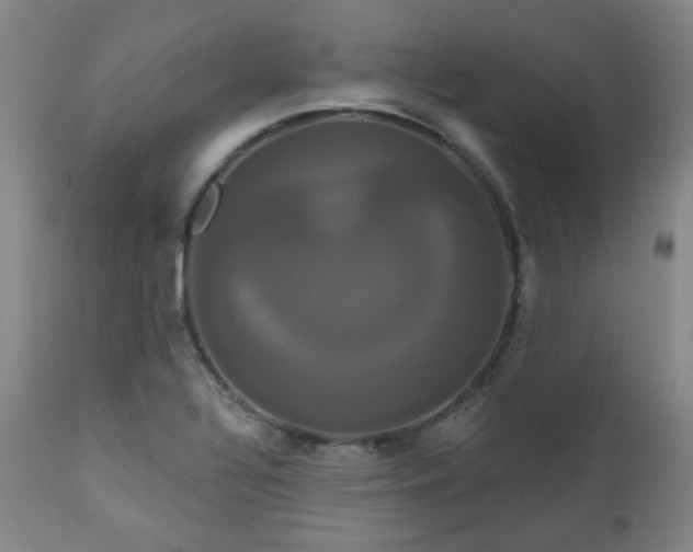 X0000111021320200906191643