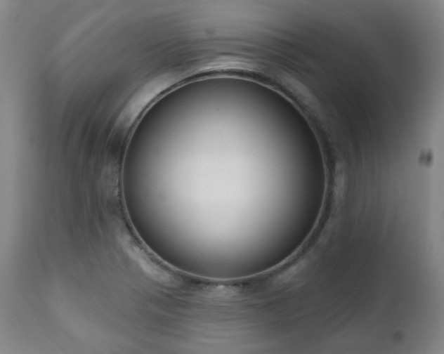 X0000111021321200906191643