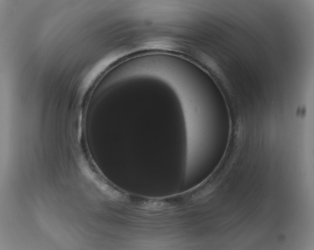 X0000111021323200906191643