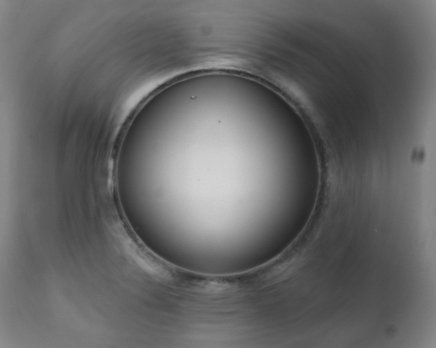 X0000111021324200906191643