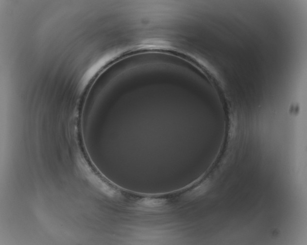 X0000111021325200906191643