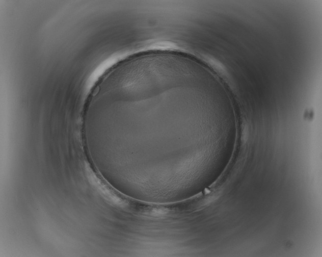 X0000111021326200906191643