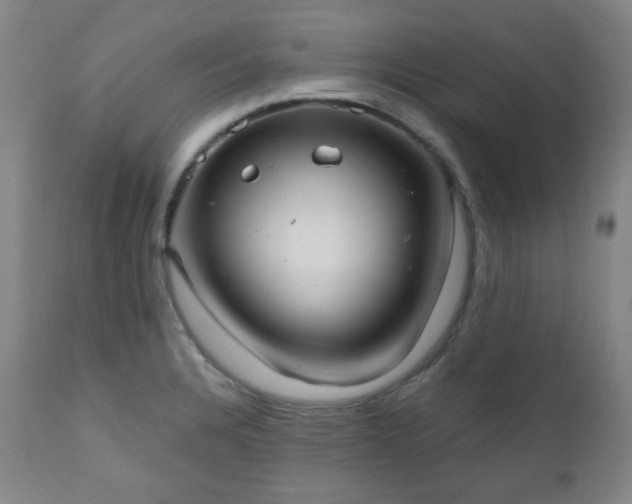 X0000111021328200906191643