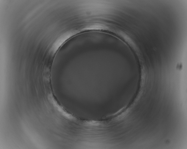 X0000111021329200906191643
