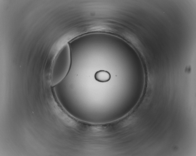 X0000111021330200906191643