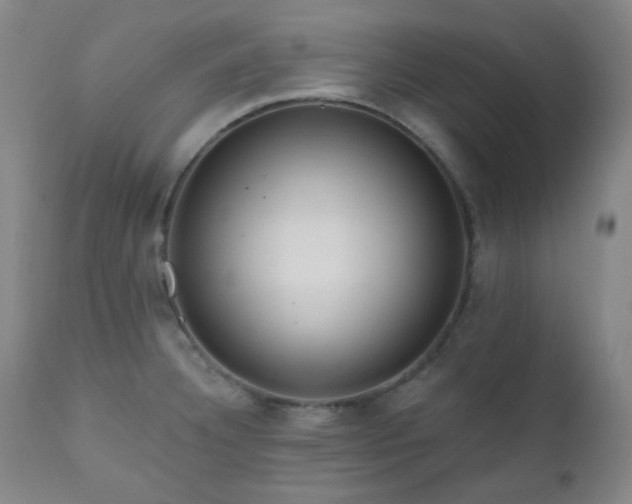 X0000111021332200906191643