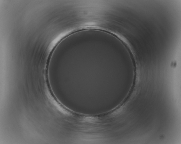 X0000111021333200906191643